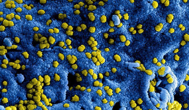 nieuw coronavirus in china